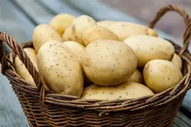 potato 1kg உருளைக்கிழங்கு